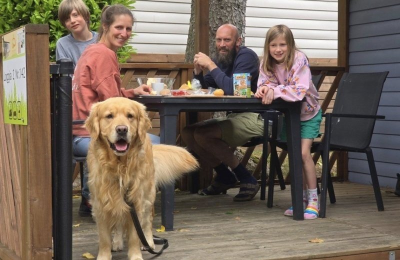 Huisdieren toegestaan